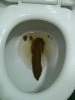 Image result for shit pic