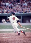 8 Carl Yastrzemski.jpg