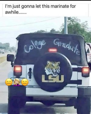 Geaux Tigers.jpg