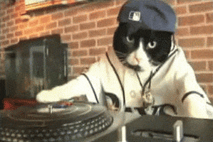 Cat DJ.gif