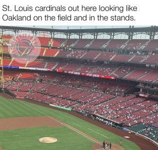 StL Oakland.jpg