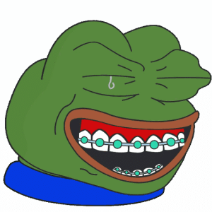 1754048301880.gif