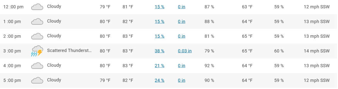 Carbondale IL Hourly Weather Forecast Saturday 10-18-25.png