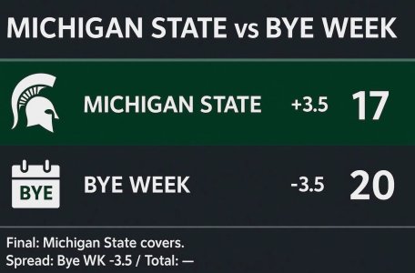 IMG_20251108_153559.jpg IMG_20251108_153559.jpg