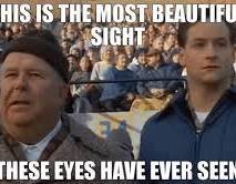 images-36.jpeg images-36.jpeg