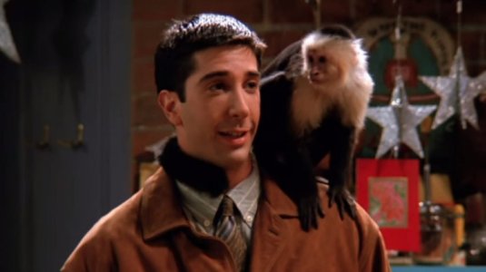 Marcel the Monkey.jpg