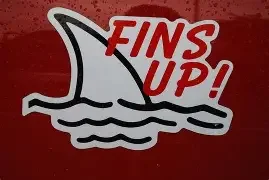FinsUp.webp