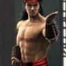 LIU_KANG