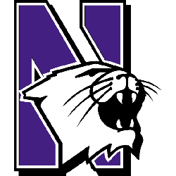 northwestern_wildcats_1981-2011.png