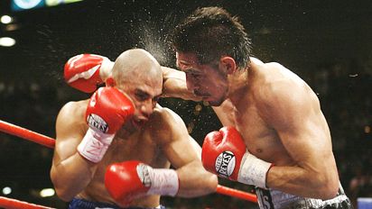 box_a_cotto_margarito2_sw_412.jpg