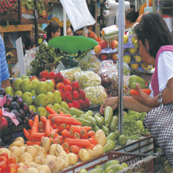 tianguis-cost.jpg