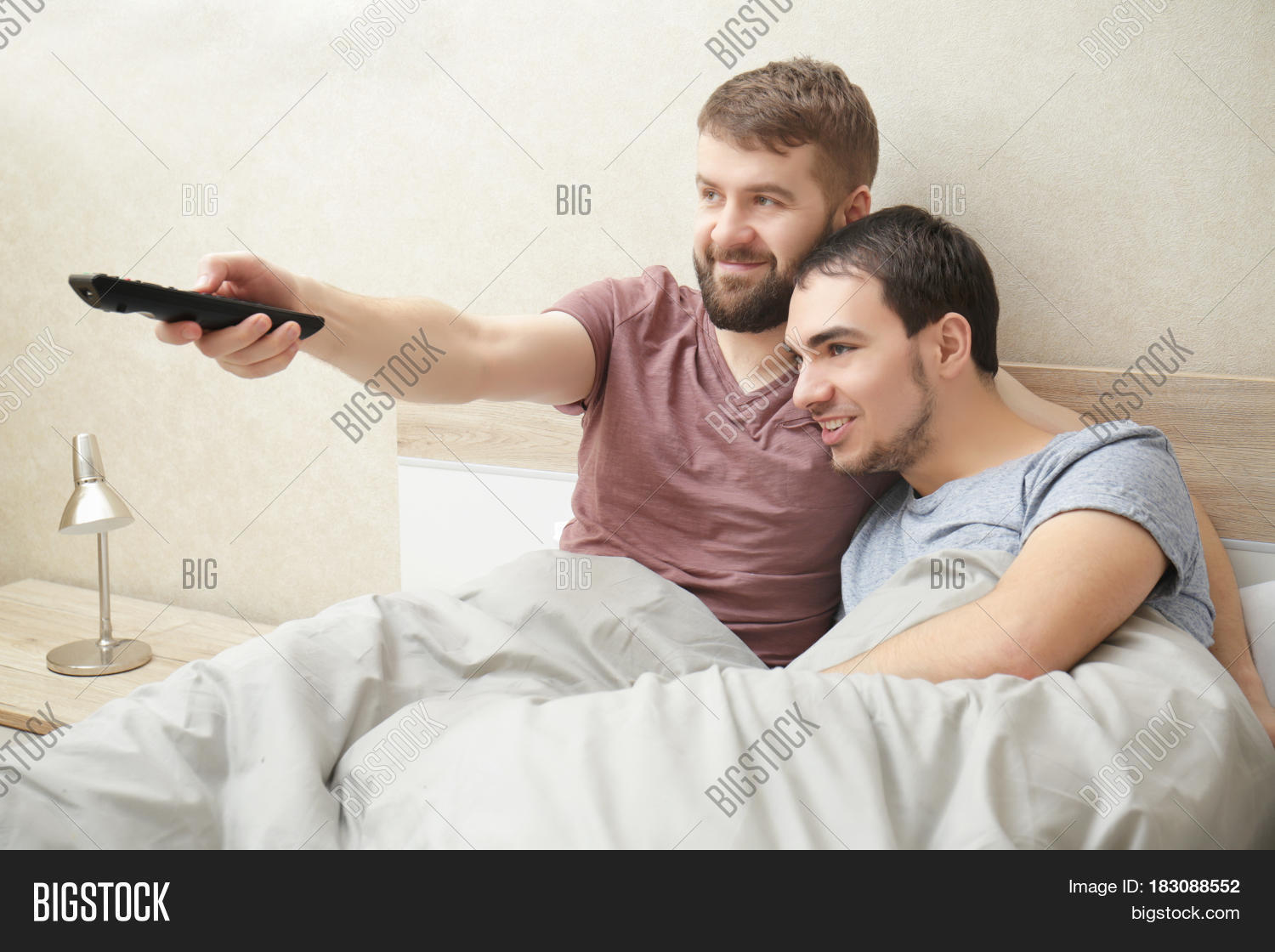 Image result for gays watching tv in bedroom