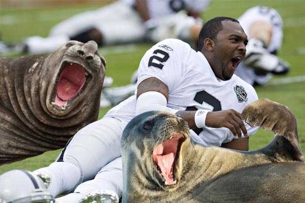 jamarcus-seals.jpg