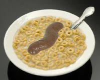 Image result for shit in a bowl