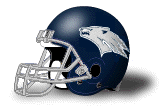 Helmet_Nevada.gif