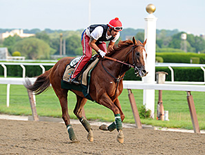 californiaChrome4BelmontJog05262014AC298.jpg