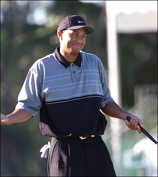 tiger-shrug.jpg