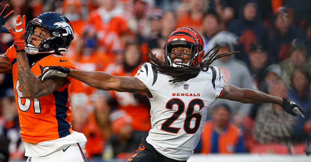 www.cincyjungle.com