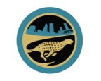 www.bigcatcountry.com